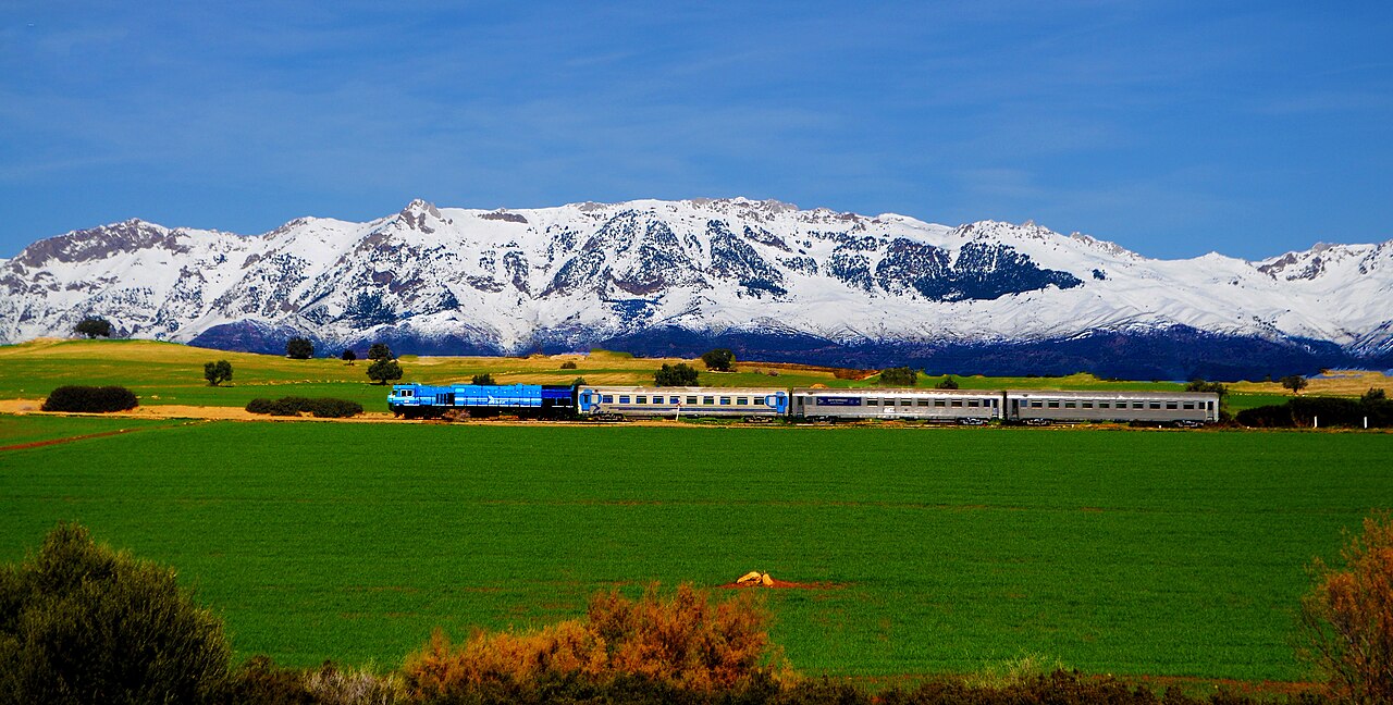 Train SNTF sur une ligne ferroviaire en Algérie