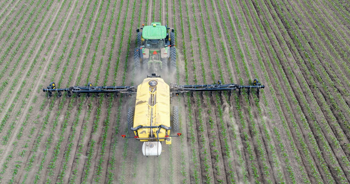 Machine agricole épandant de l'engrais azoté sur une culture
